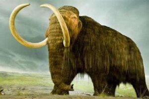 mammoth hathi ka itihaas