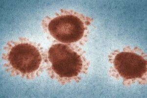 Virus kya hai aur kaise failta hai.