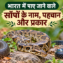 भारत में पाए जाने वाले साँप – कोबरा, अजगर और अन्य प्रजातियाँ