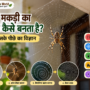 घर में मकड़ी का जाला कैसे बनता है