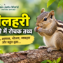 गिलहरी के बारे में जानकारी – भारतीय गिलहरी